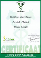 anke maas