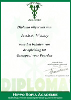 anke maas